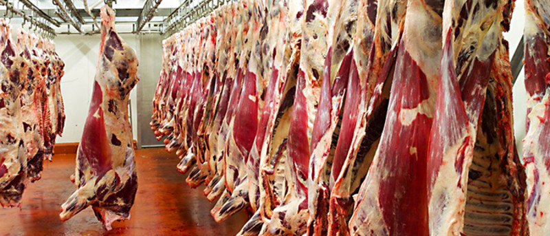 Déshumidification dans l'industrie de la viande-Trotec
