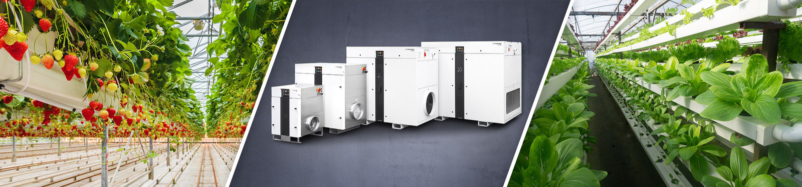 Déshumidification de l’air dans l’agriculture verticale