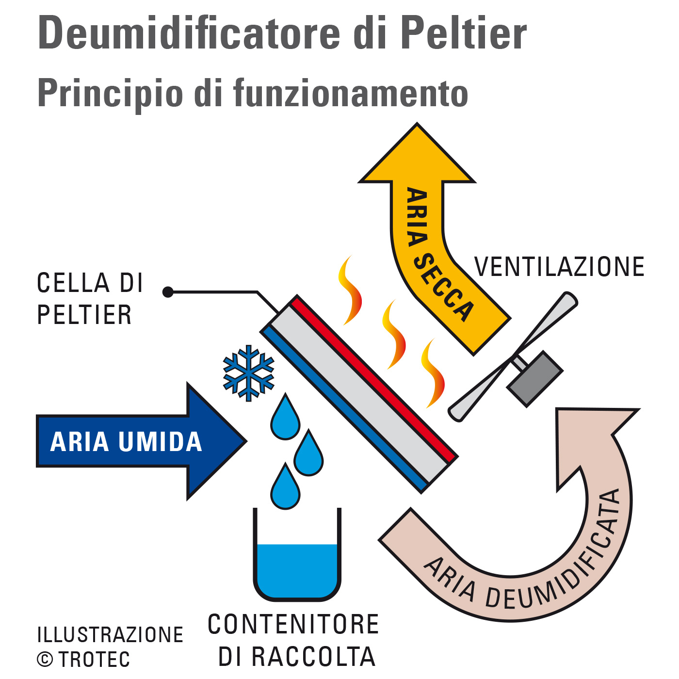 Deumidificatore Peltier Principio di funzionamento