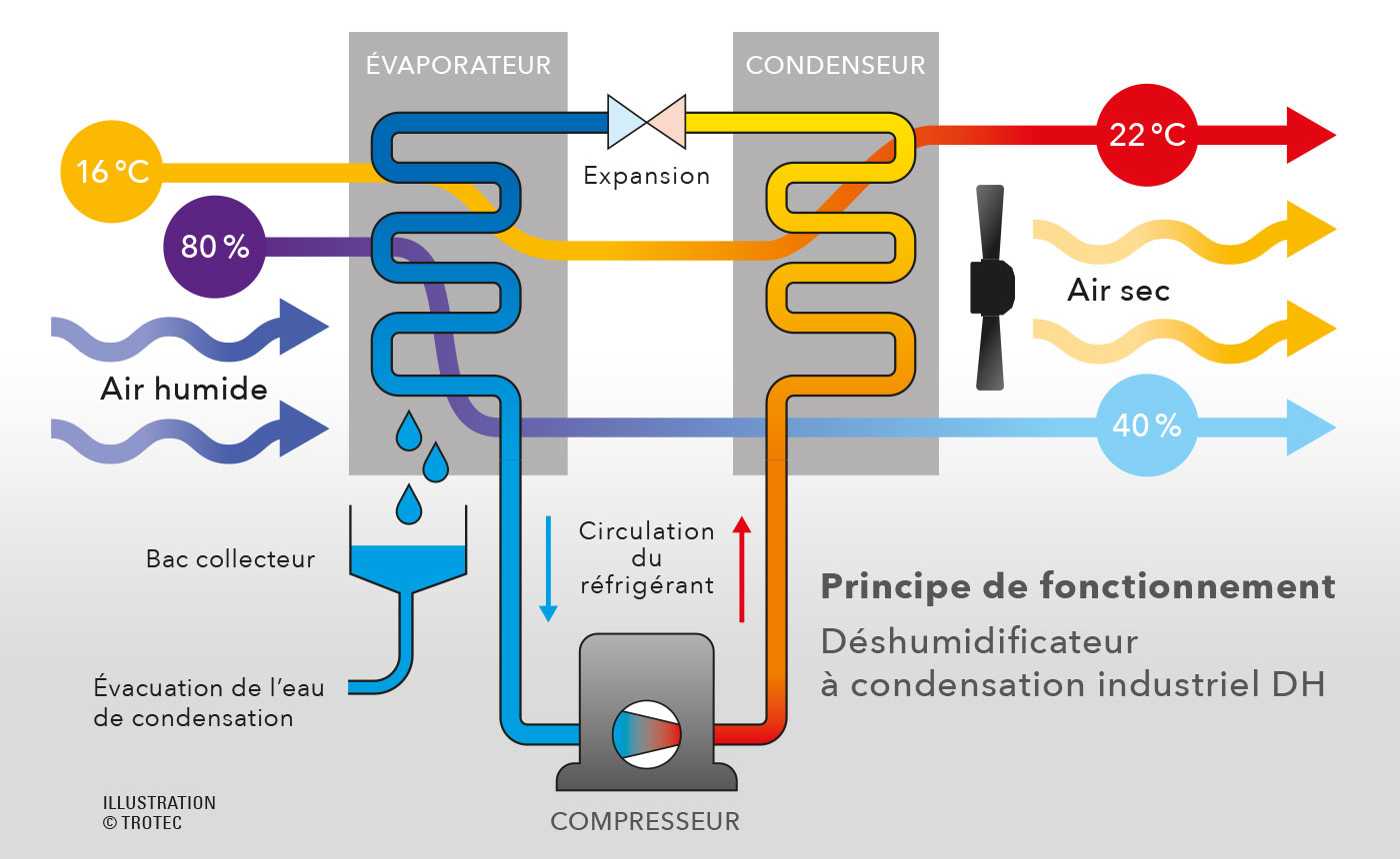 Principe de fonctionnement de la déshumidification à réfrigération avec compresseur avec les déshumidificateurs industriels DH