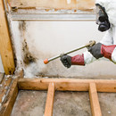 Sanierung nach Schimmelbefall