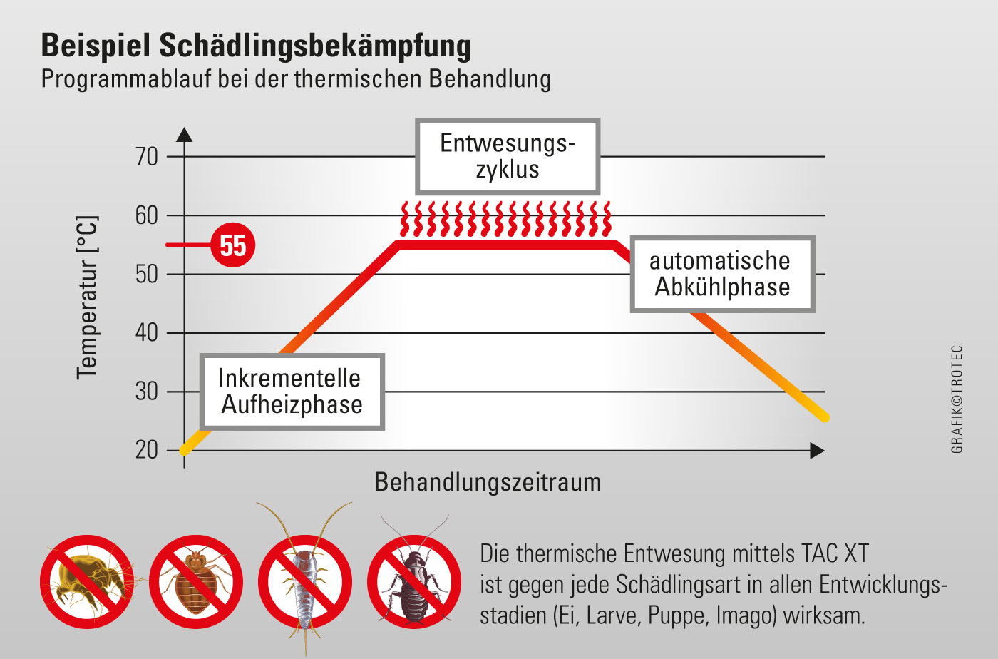 schematischer Programmablauf bei der thermischen Schädlingsbekämpfung