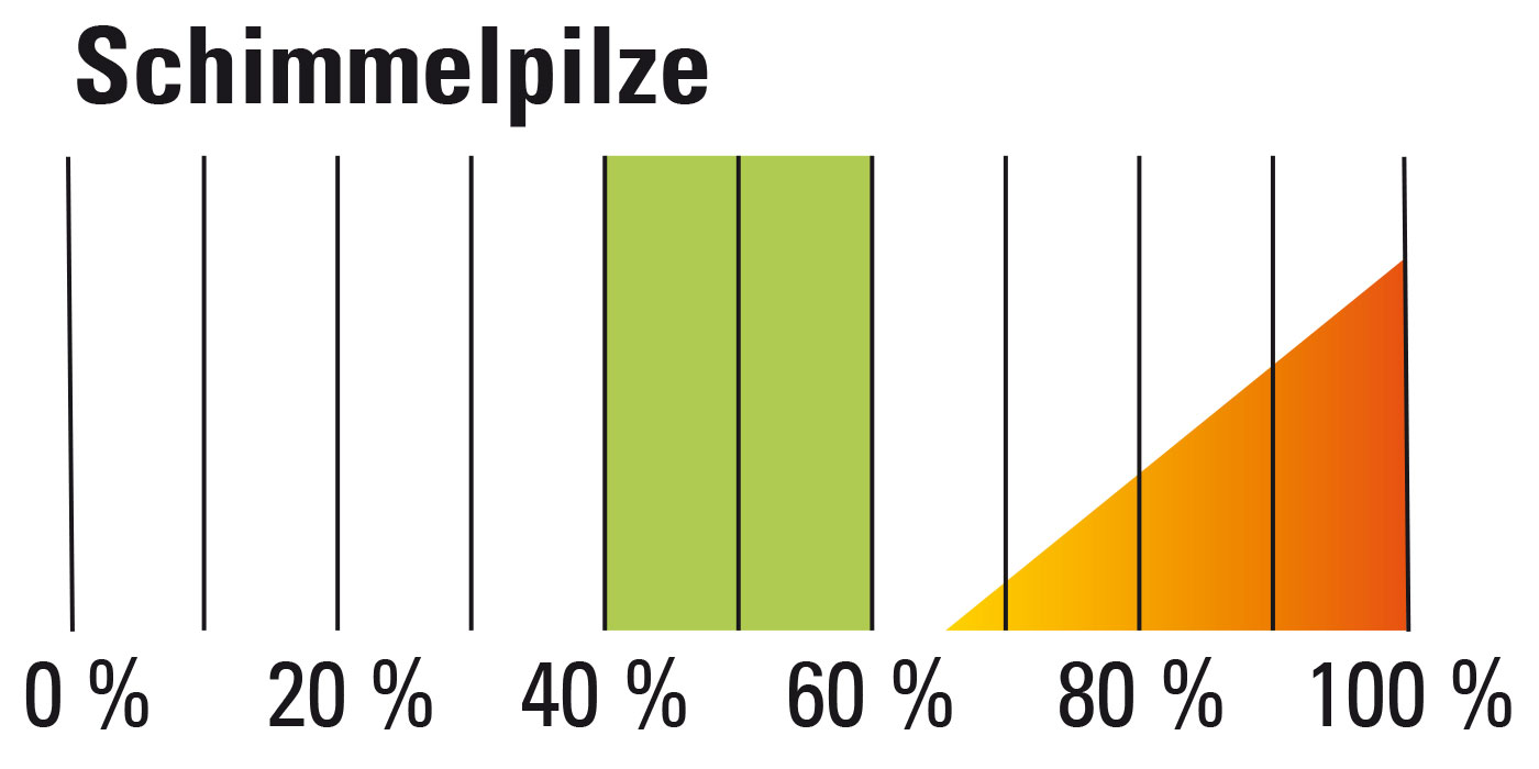 Schimmelpilze