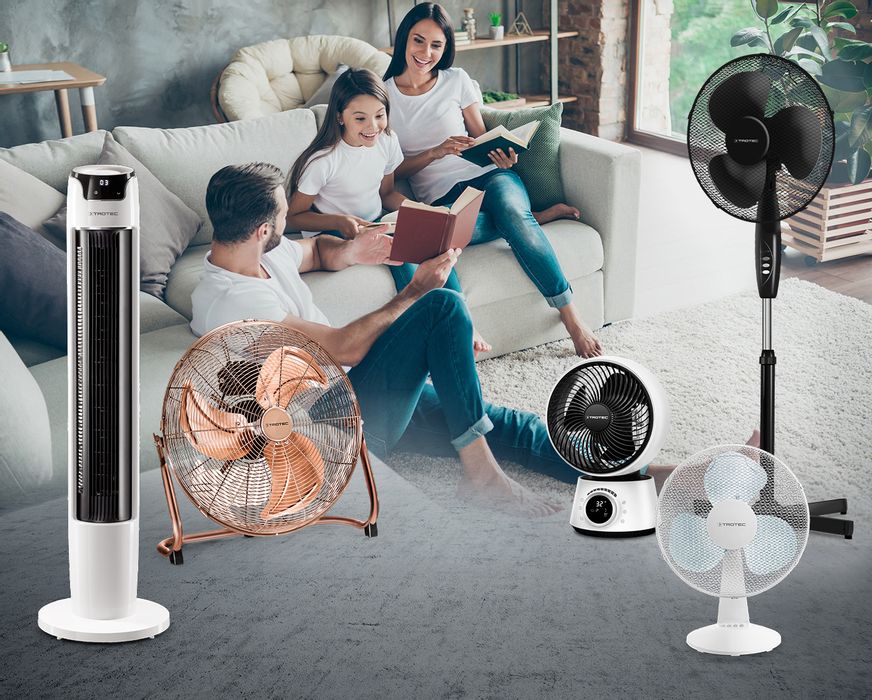 Fan